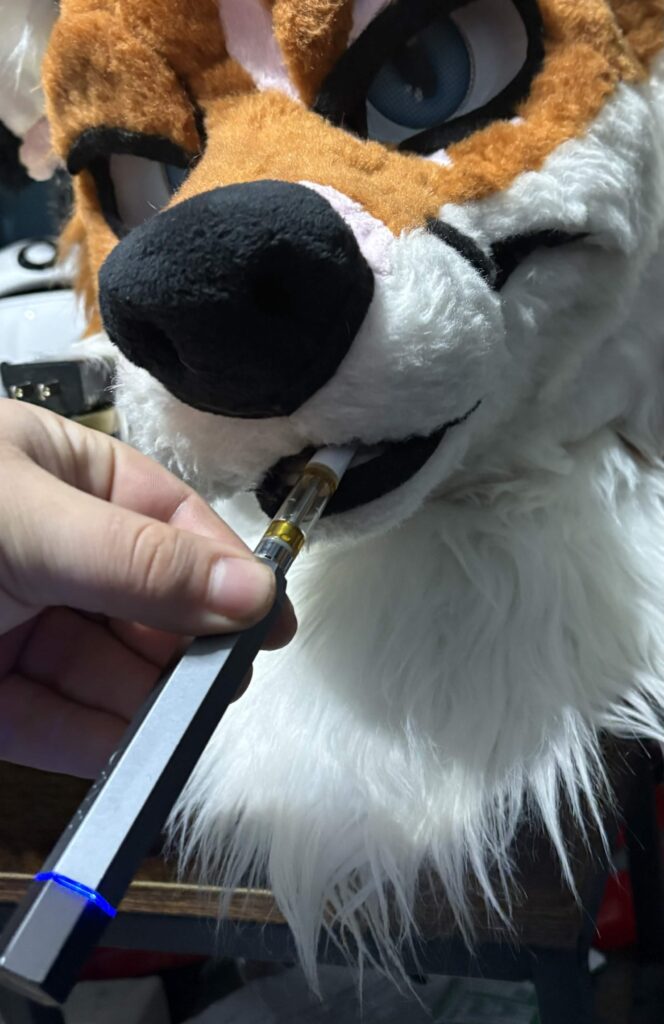 Image #1 from Alexei Sobakin